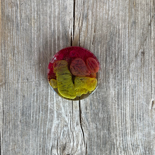1.5” Olive and Cranberry Petri Resin Magnet | 3 for $12 | Petrified Clouds