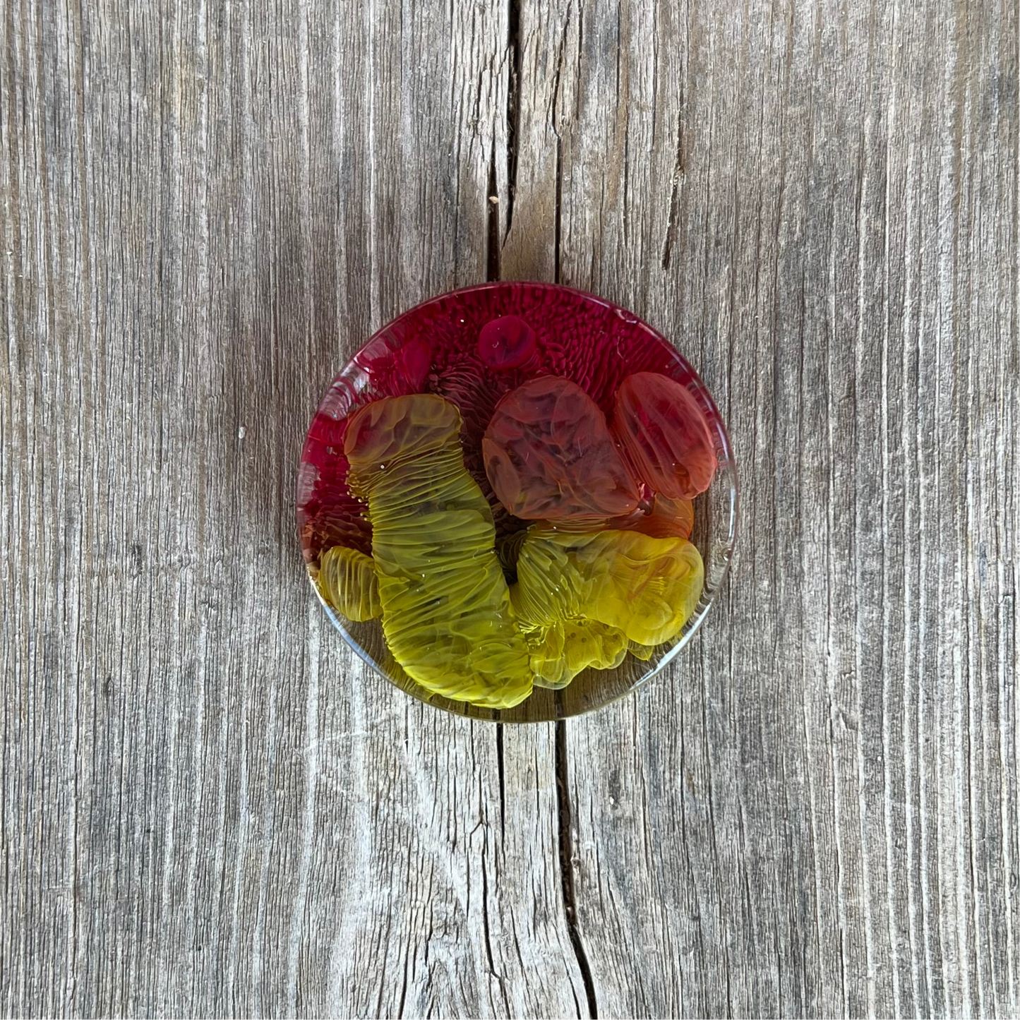 1.5” Olive and Cranberry Petri Resin Magnet | 3 for $12 | Petrified Clouds