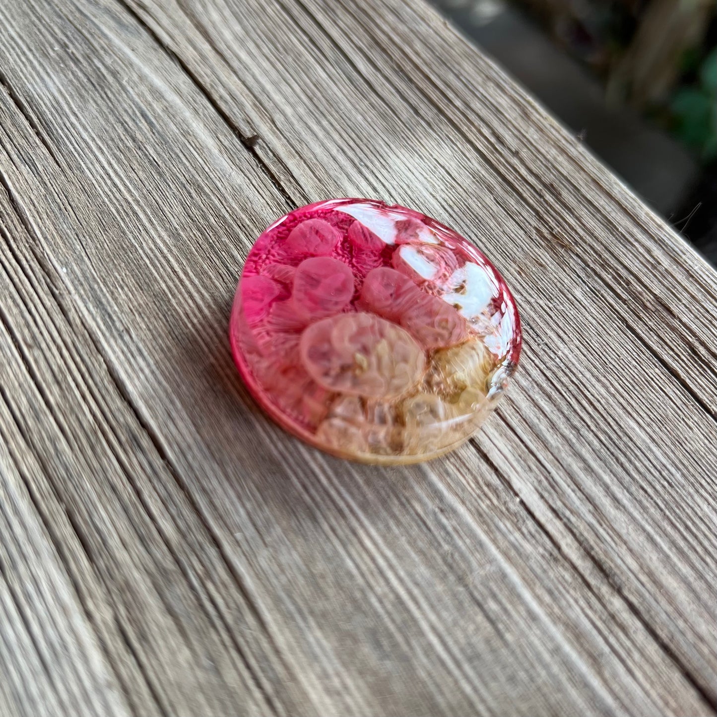 1.5” Pink and Moss Petri Resin Magnet | 3 for $12 | Petrified Clouds