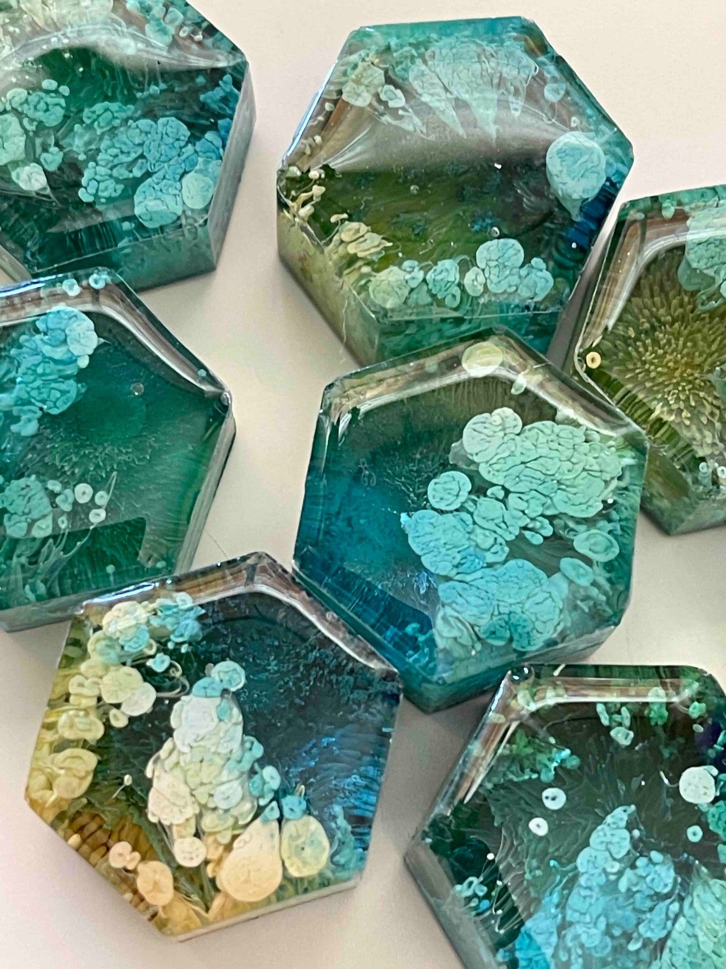 Set of 5 Petri Hexagon Magnets 1" | Teal & Yellow Magnets | Unique Magnets
