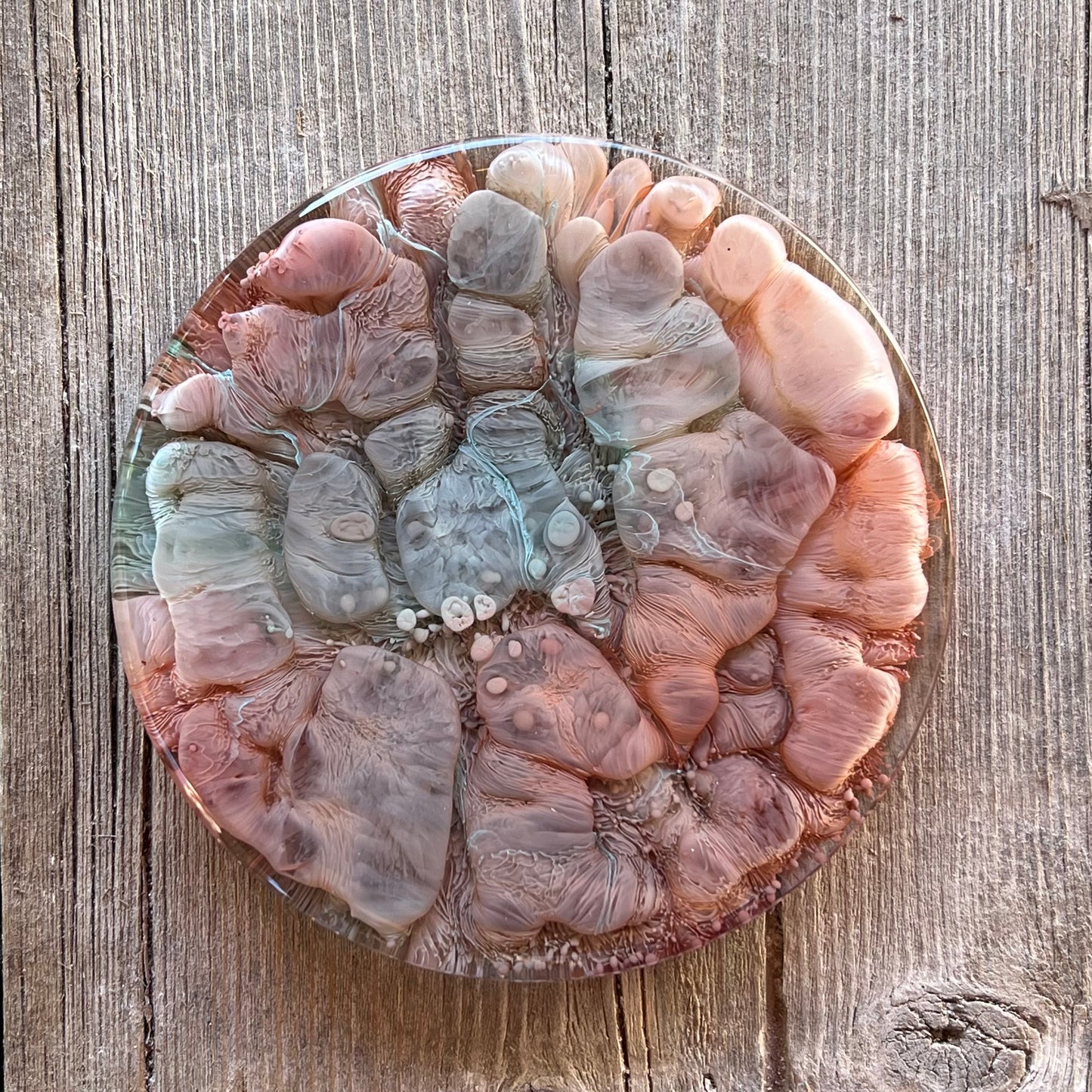 4" Resin Petrified Cloud Coaster | Blue & Red Earth