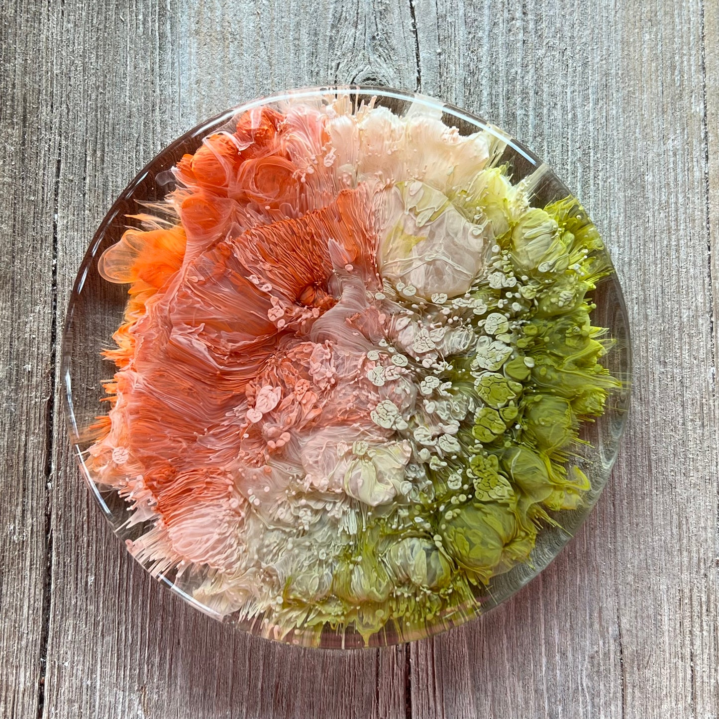 4" Resin Petrified Cloud Coaster | Olive & Burnt Orange