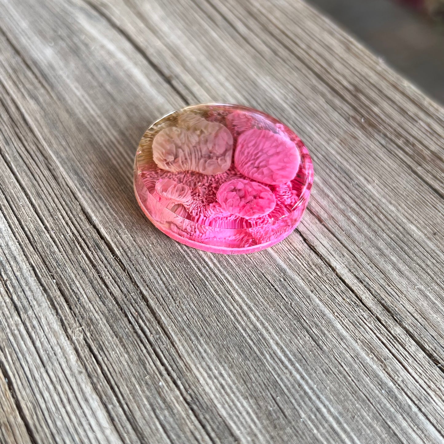 1.5” Pink and Moss Petri Resin Magnet | 3 for $12 | Petrified Clouds