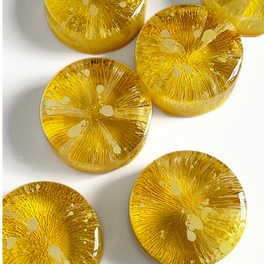 Petri Resin Magnets 1.5" Yellow