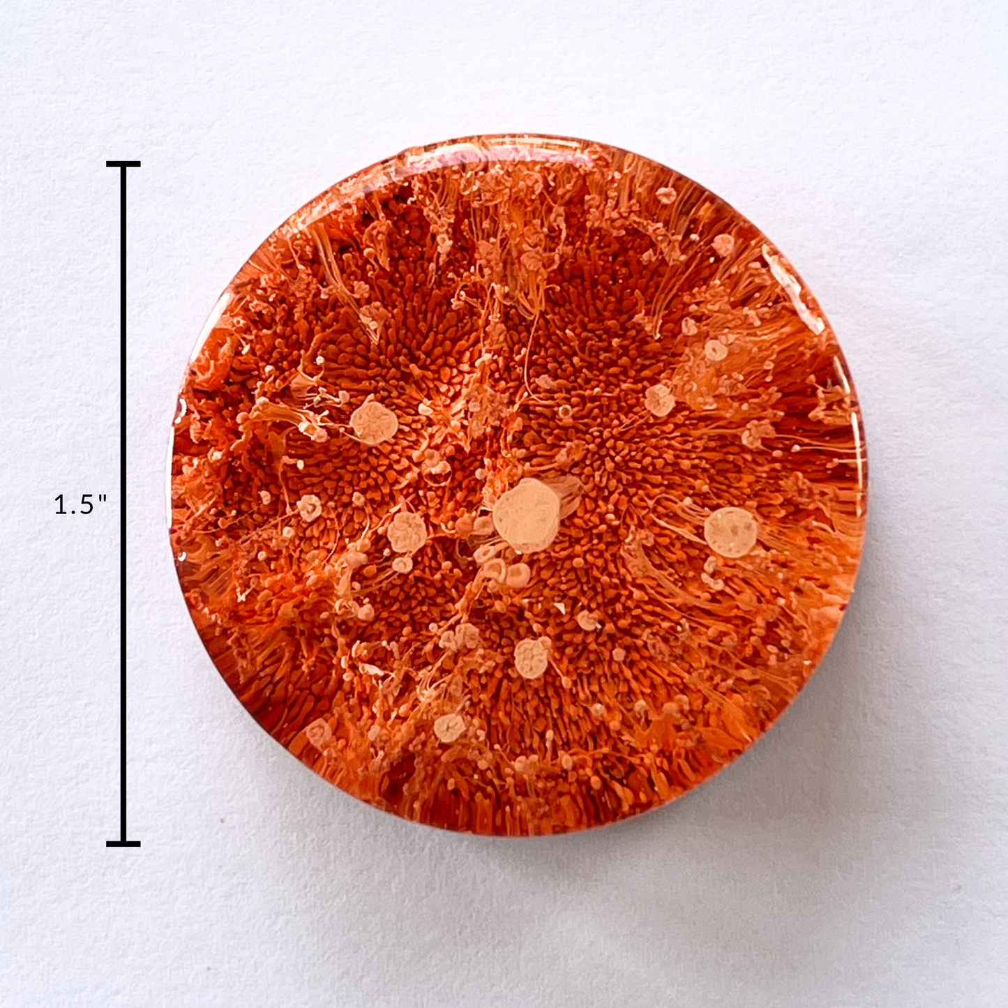 Petri Resin Magnets 1.5" Orange