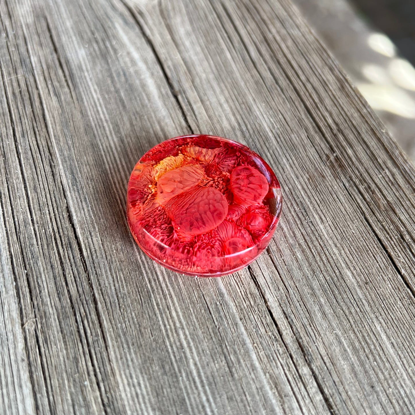 1.5” Red and Orange Petri Resin Magnet | 3 for $12 | Petrified Clouds