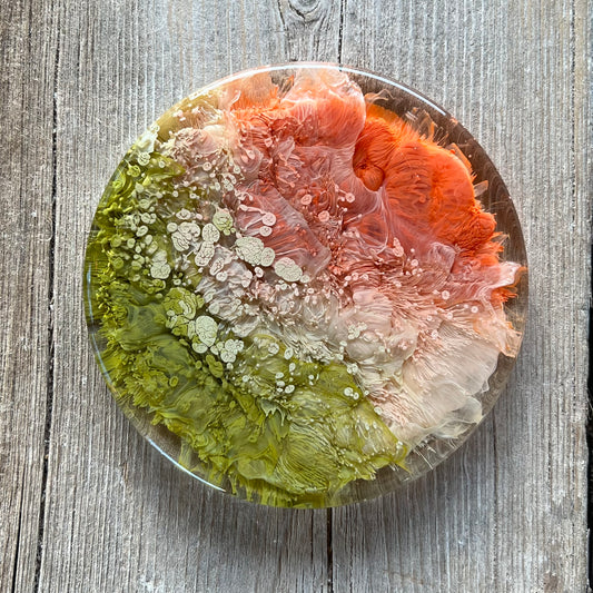 4" Resin Petrified Cloud Coaster | Olive & Burnt Orange