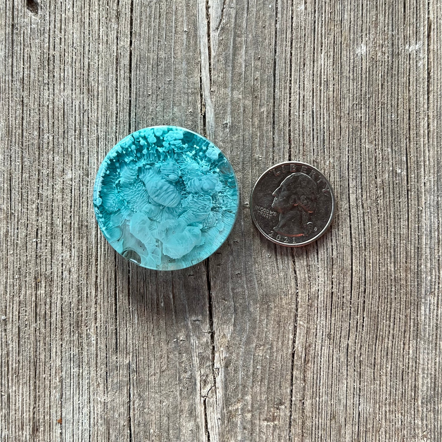 1.5” Blues Petri Resin Magnet | 3 for $12 | Petrified Clouds