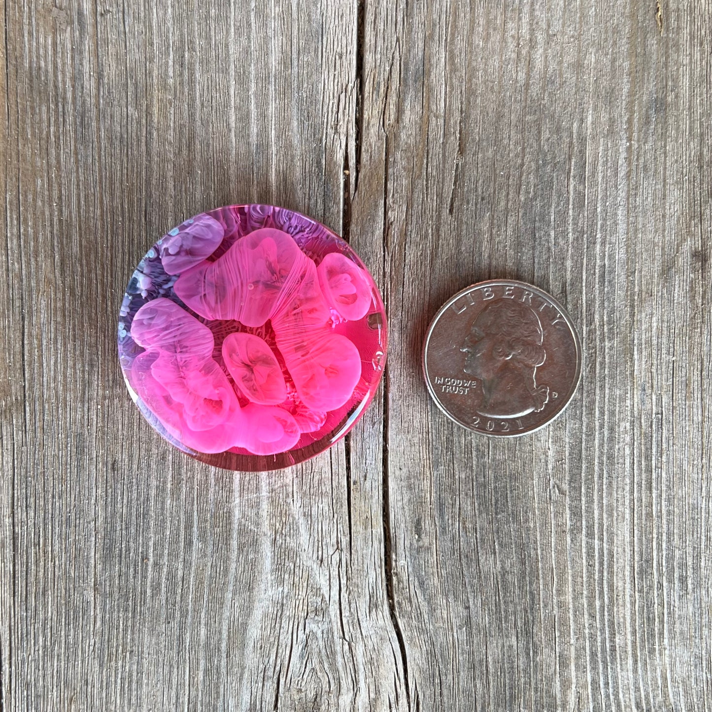 1.5” Pink and Blue Petri Resin Magnet | 3 for $12 | Petrified Clouds