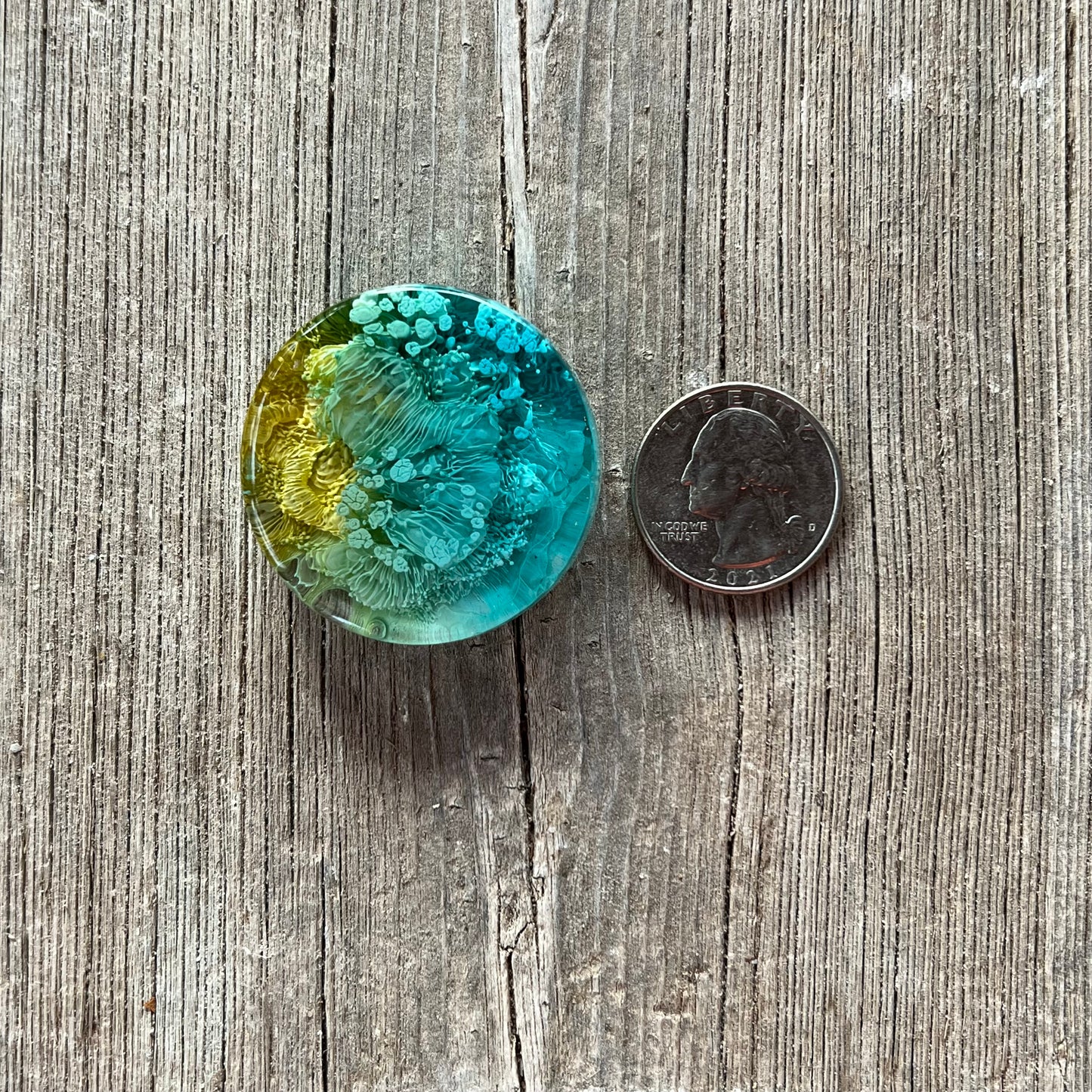 1.5” Teal and Yellow Petri Resin Magnet | 3 for $12 | Petrified Clouds