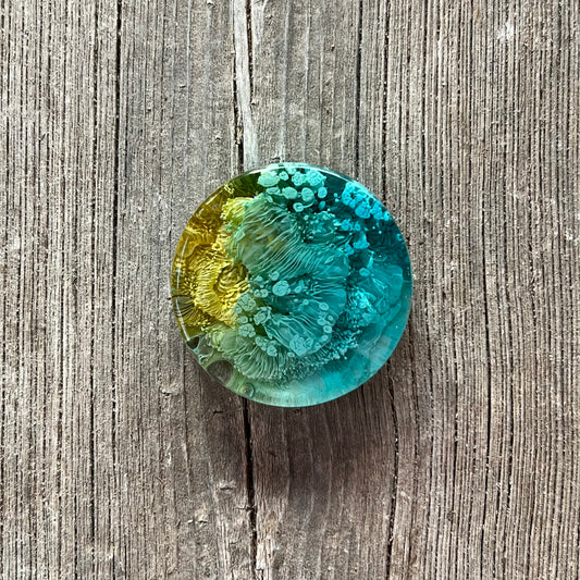 1.5” Teal and Yellow Petri Resin Magnet | 3 for $12 | Petrified Clouds