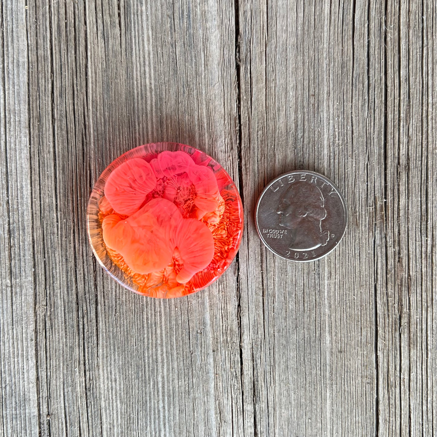 1.5” Pink and Orange Petri Resin Magnet | 3 for $12 | Petrified Clouds