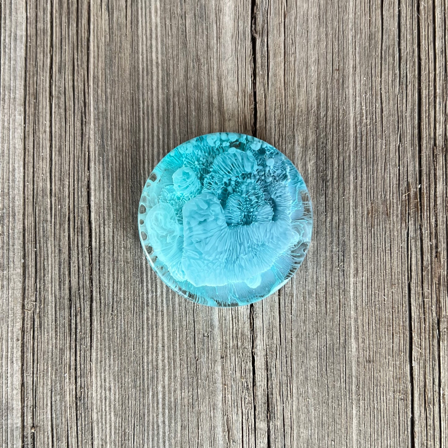 1.5” Blues Petri Resin Magnet | 3 for $12 | Petrified Clouds