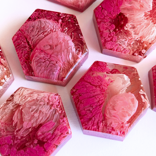 Set of 5 Hexagon Pink Petri Resin Magnets 1"