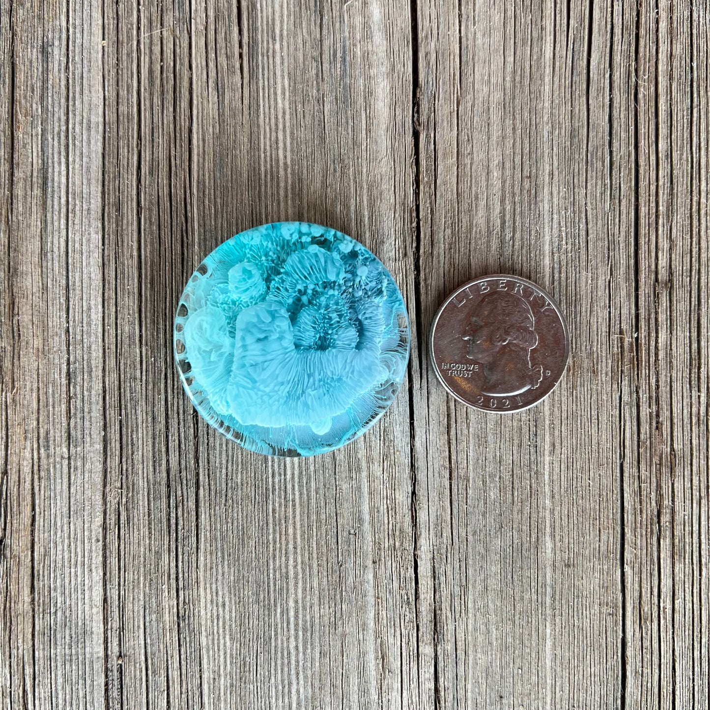 1.5” Blues Petri Resin Magnet | 3 for $12 | Petrified Clouds