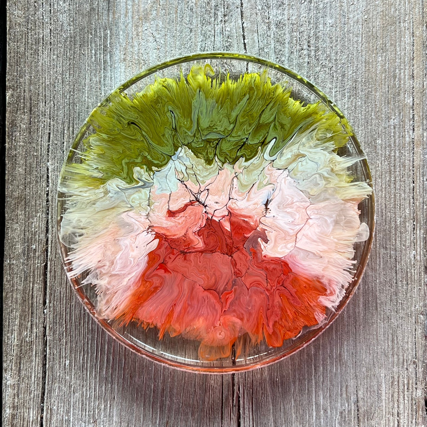 4" Resin Petrified Cloud Coaster | Olive & Burnt Orange