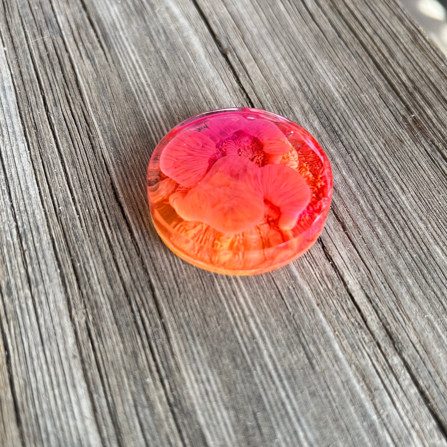 1.5” Pink and Orange Petri Resin Magnet | 3 for $12 | Petrified Clouds