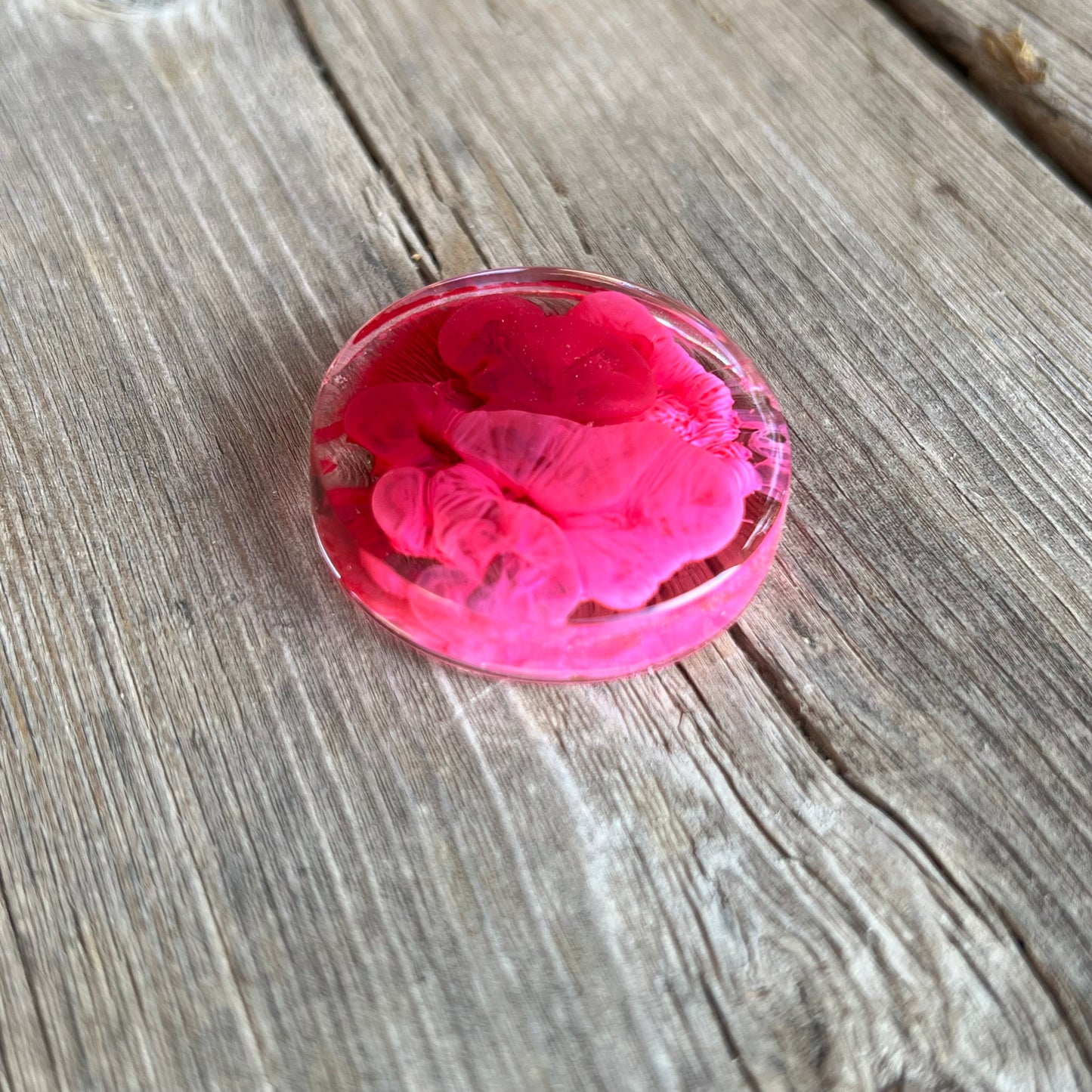 1.5” Pink and Cranberry Petri Resin Magnet | 3 for $12 | Petrified Clouds