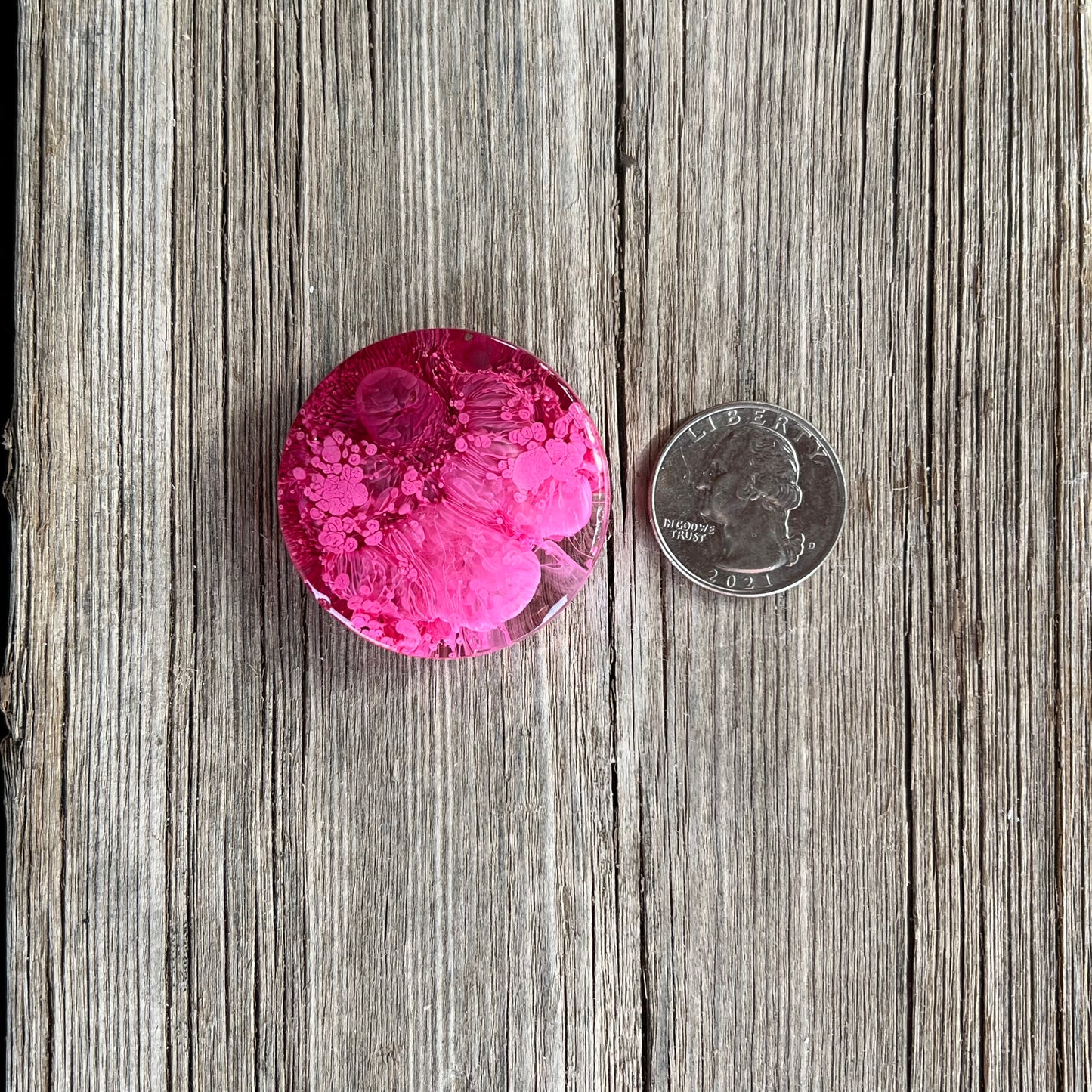 1.5” Pink and Cranberry Petri Resin Magnet | 3 for $12 | Petrified Clouds