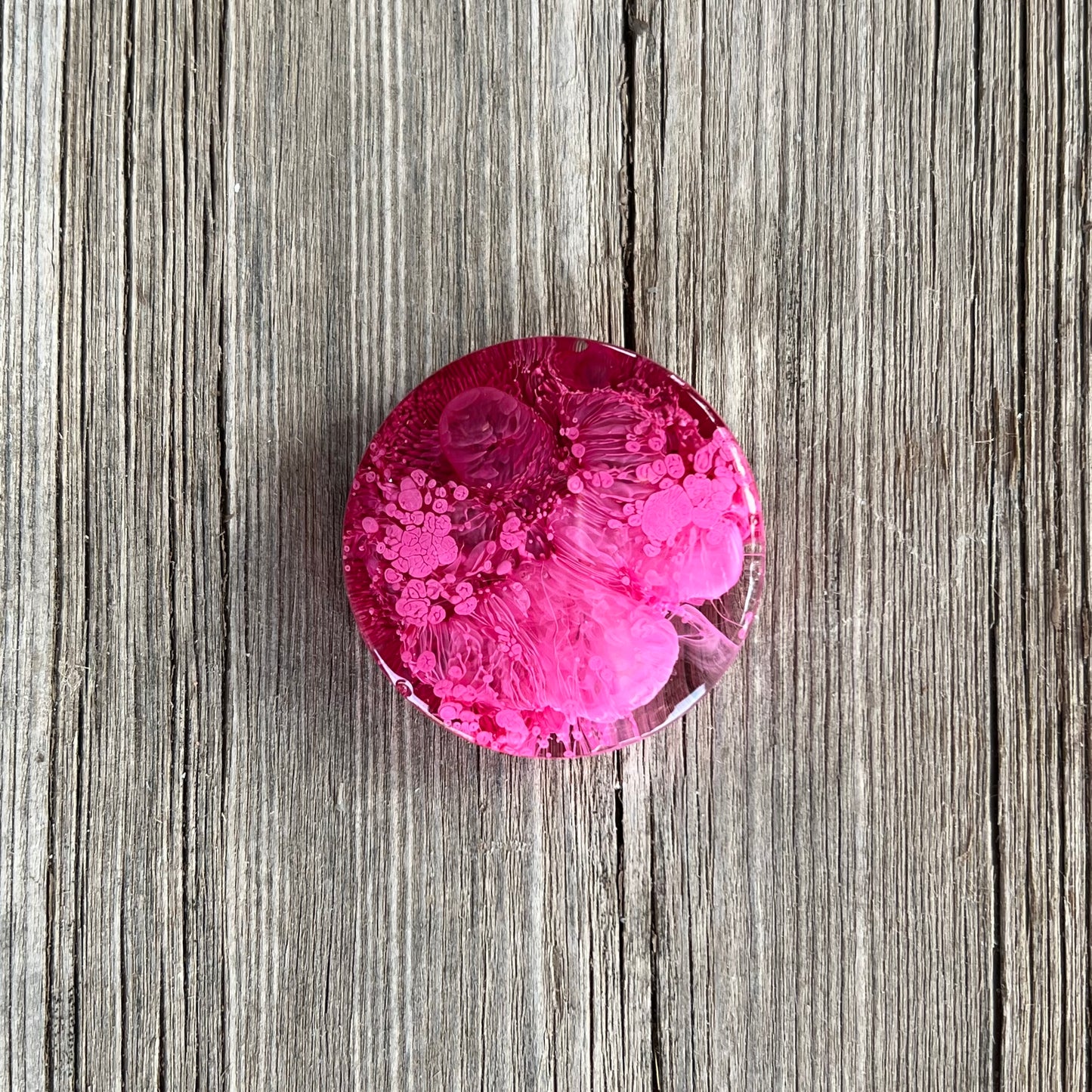 1.5” Pink and Cranberry Petri Resin Magnet | 3 for $12 | Petrified Clouds