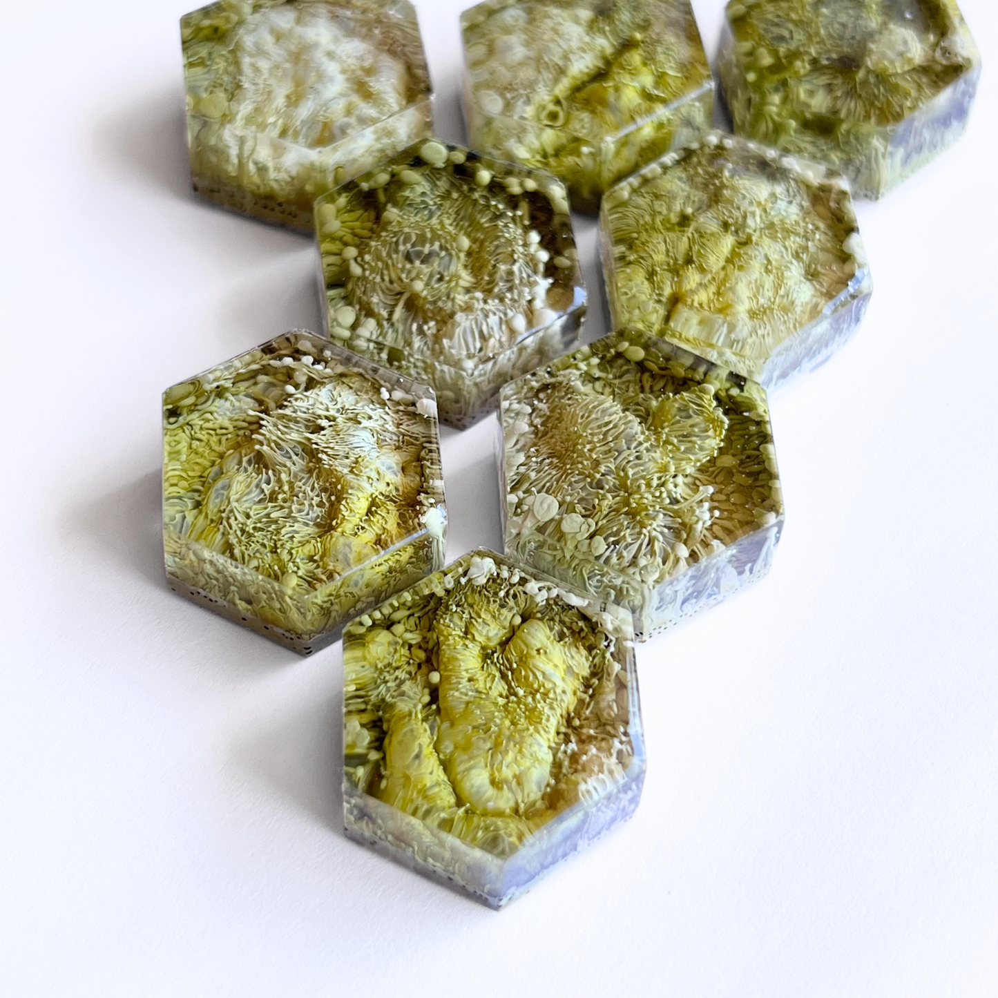 Set of 5 Green Toned Petri Resin Magnets 1"