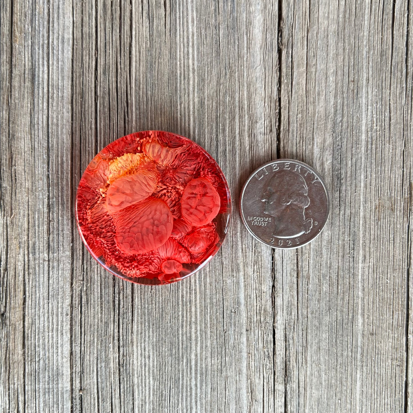 1.5” Red and Orange Petri Resin Magnet | 3 for $12 | Petrified Clouds