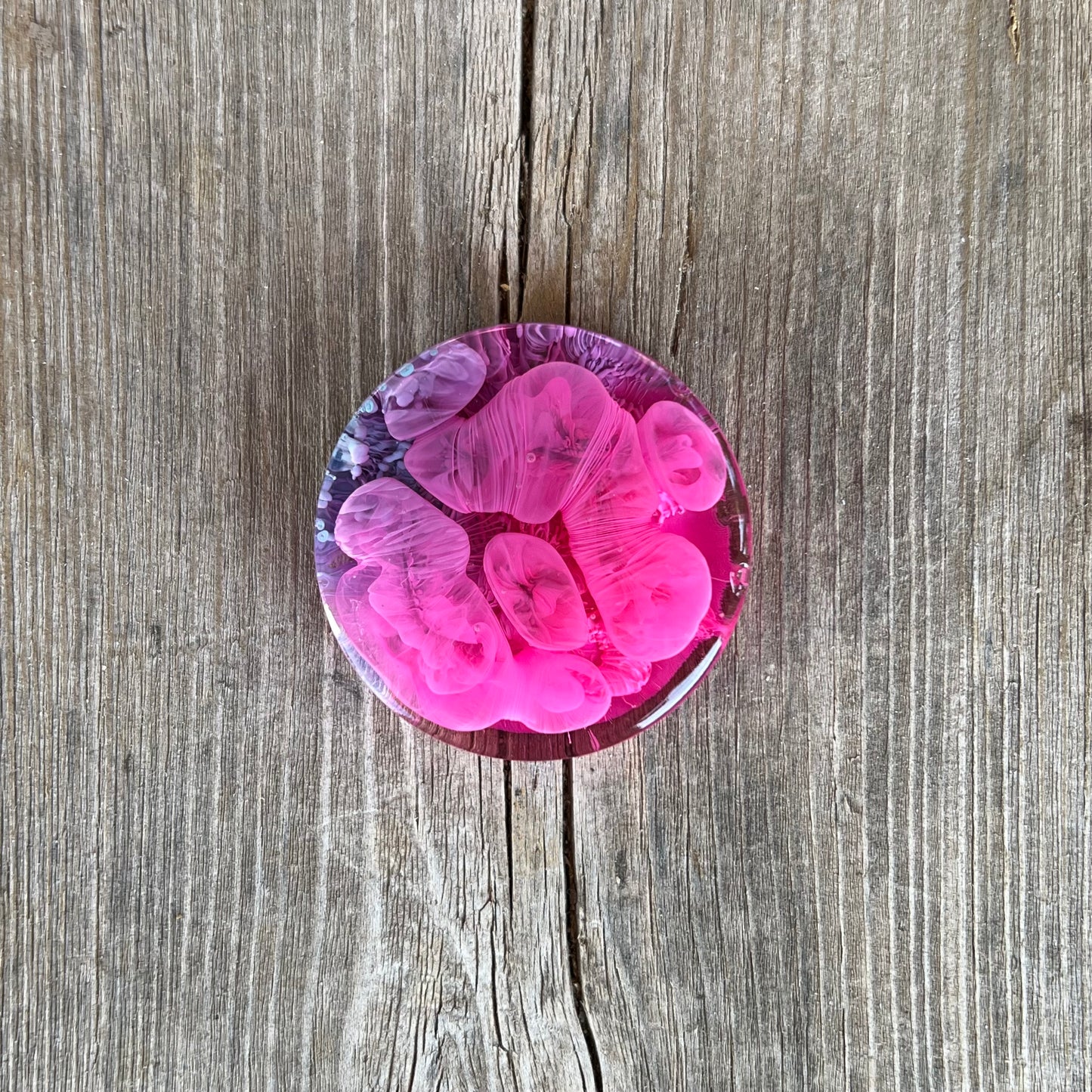 1.5” Pink and Blue Petri Resin Magnet | 3 for $12 | Petrified Clouds