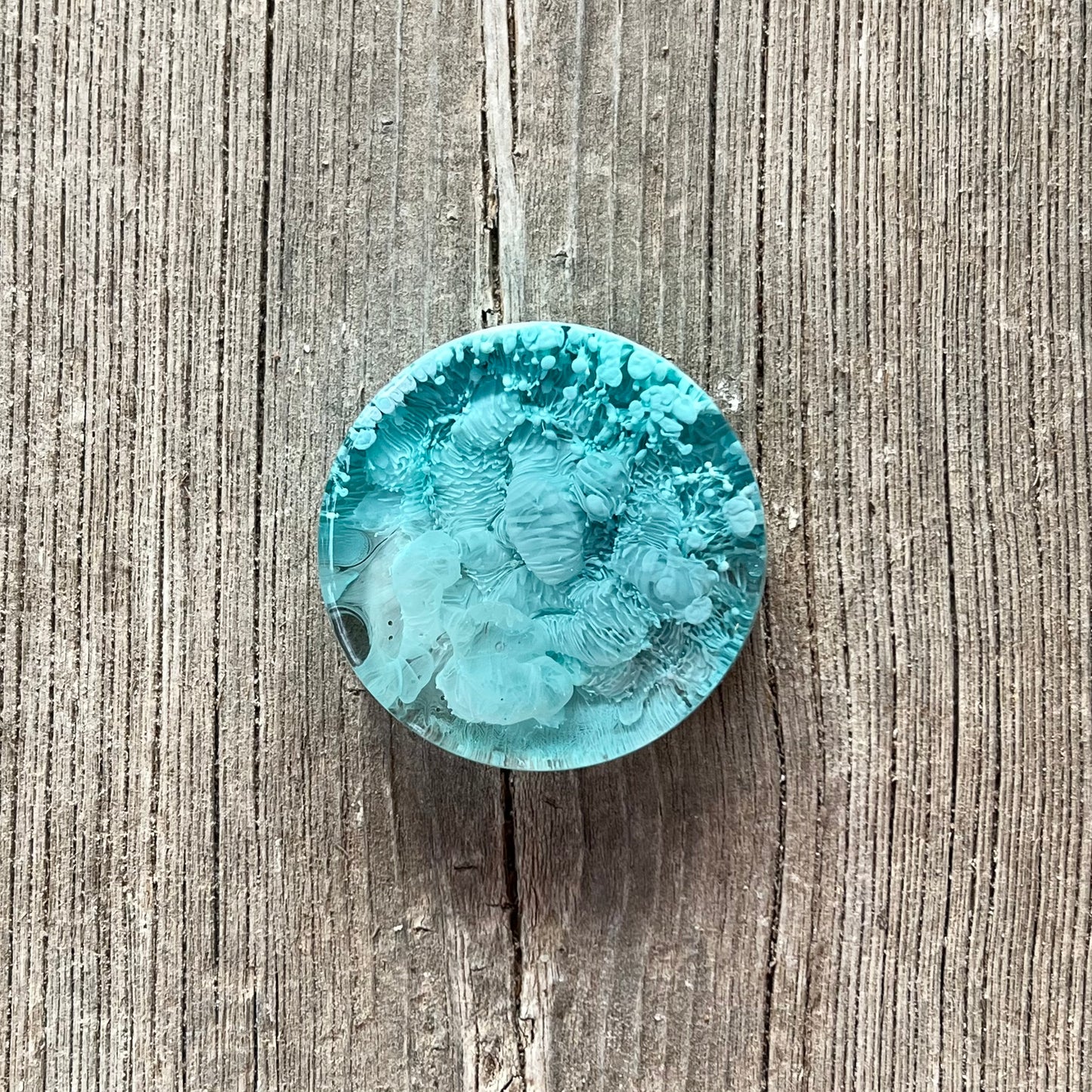 1.5” Blues Petri Resin Magnet | 3 for $12 | Petrified Clouds