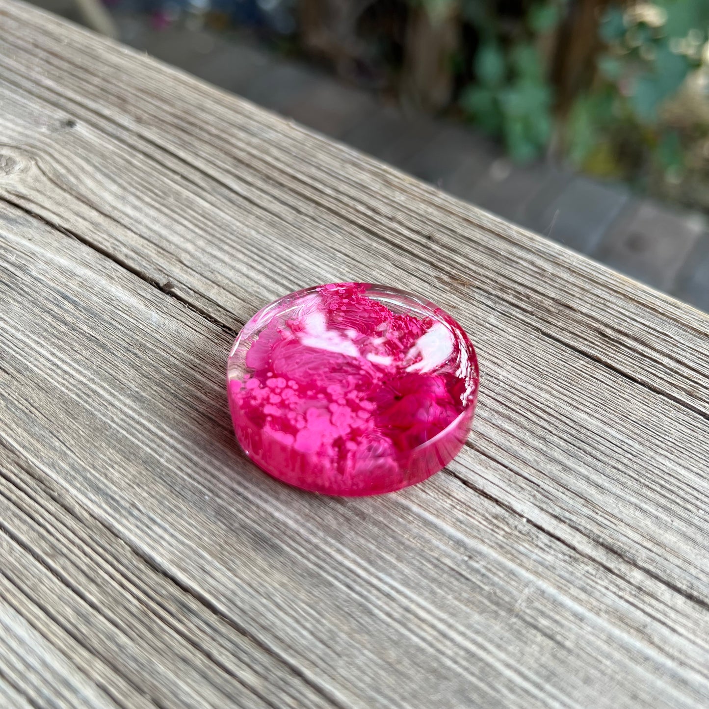 1.5” Pink and Cranberry Petri Resin Magnet | 3 for $12 | Petrified Clouds