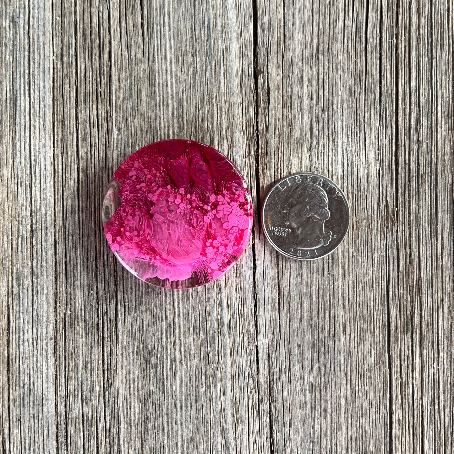 1.5” Pink and Cranberry Petri Resin Magnet | 3 for $12 | Petrified Clouds