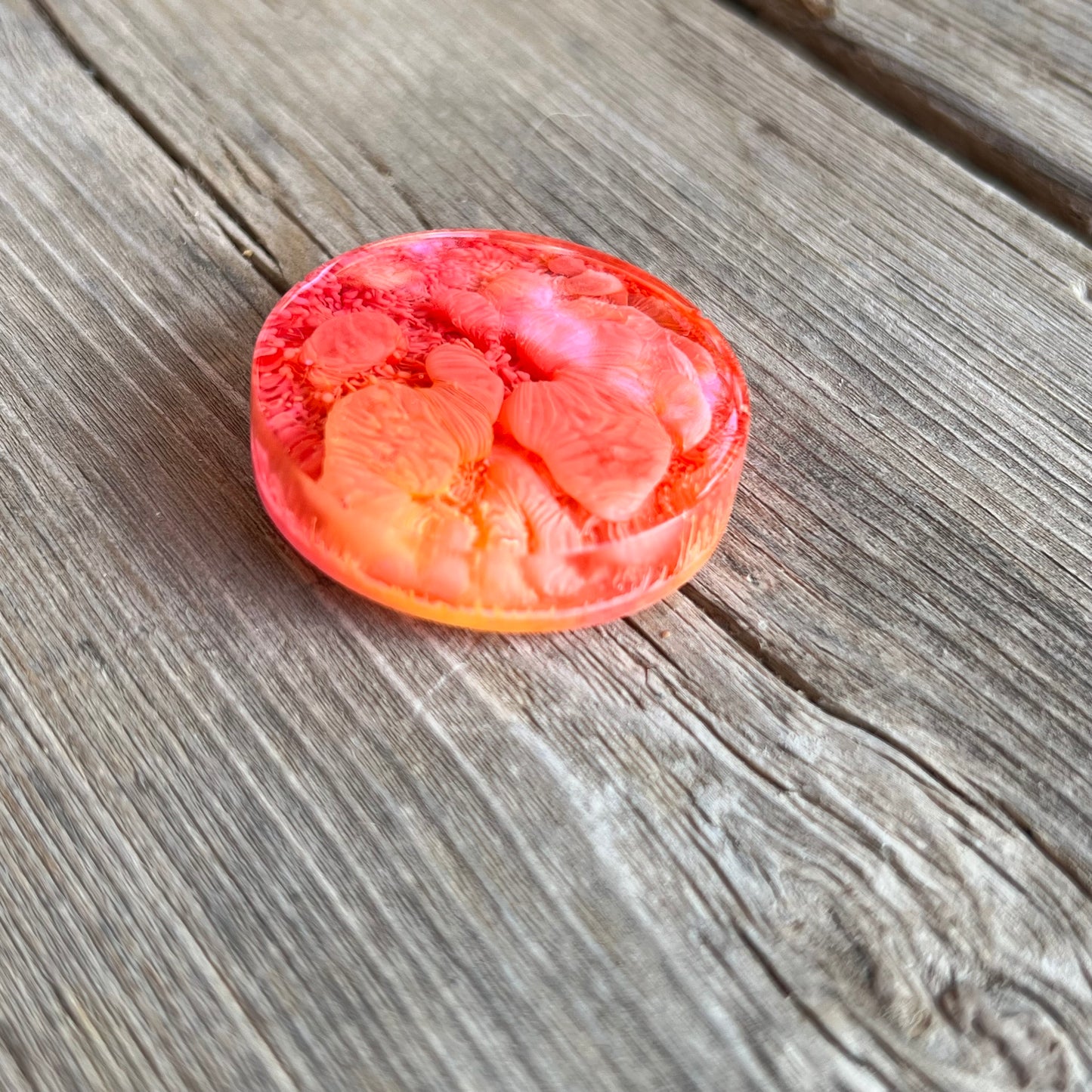 1.5” Pink and Orange Petri Resin Magnet | 3 for $12 | Petrified Clouds