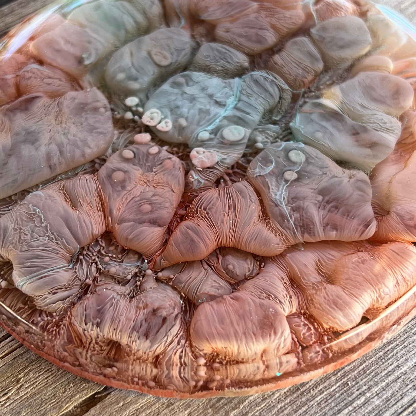 4" Resin Petrified Cloud Coaster | Blue & Red Earth