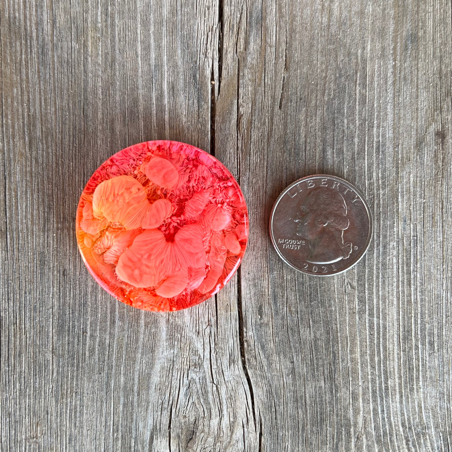 1.5” Pink and Orange Petri Resin Magnet | 3 for $12 | Petrified Clouds