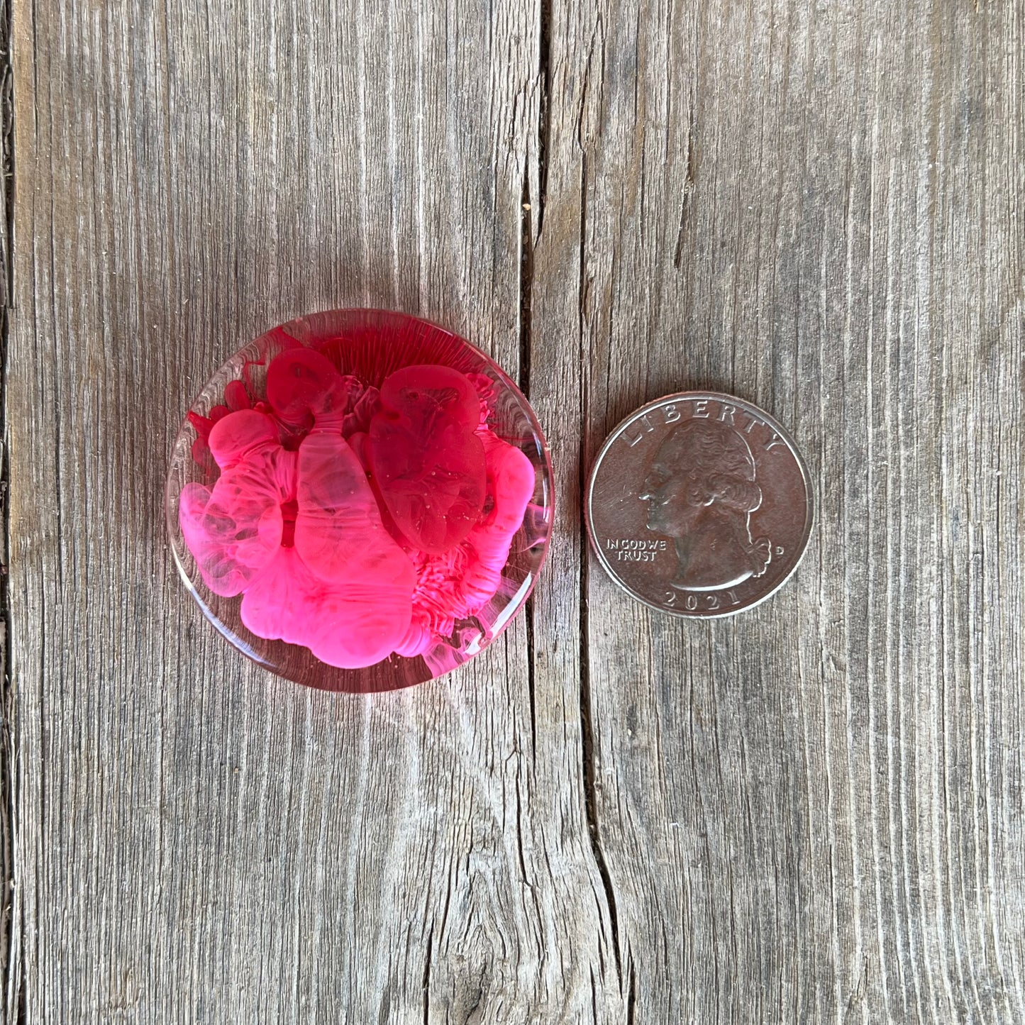 1.5” Pink and Cranberry Petri Resin Magnet | 3 for $12 | Petrified Clouds