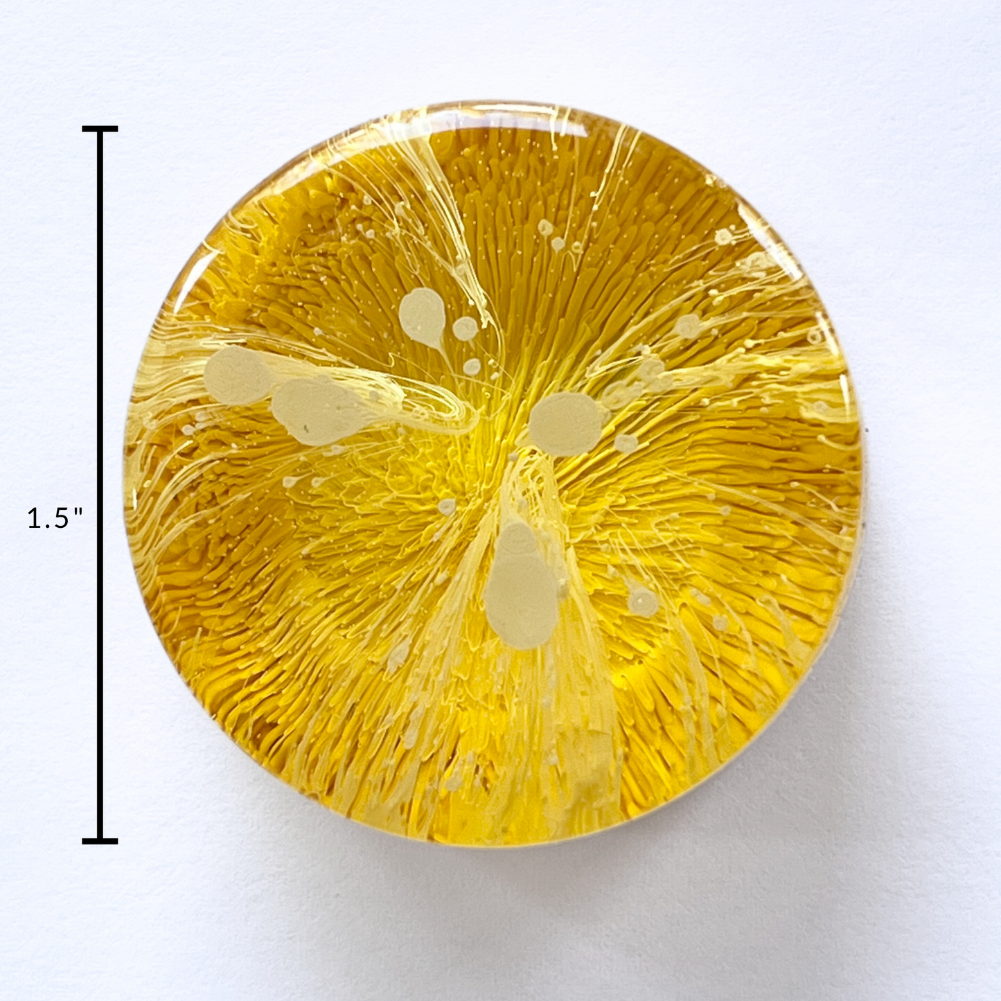 Petri Resin Magnets 1.5" Yellow