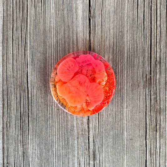 1.5” Pink and Orange Petri Resin Magnet | 3 for $12 | Petrified Clouds