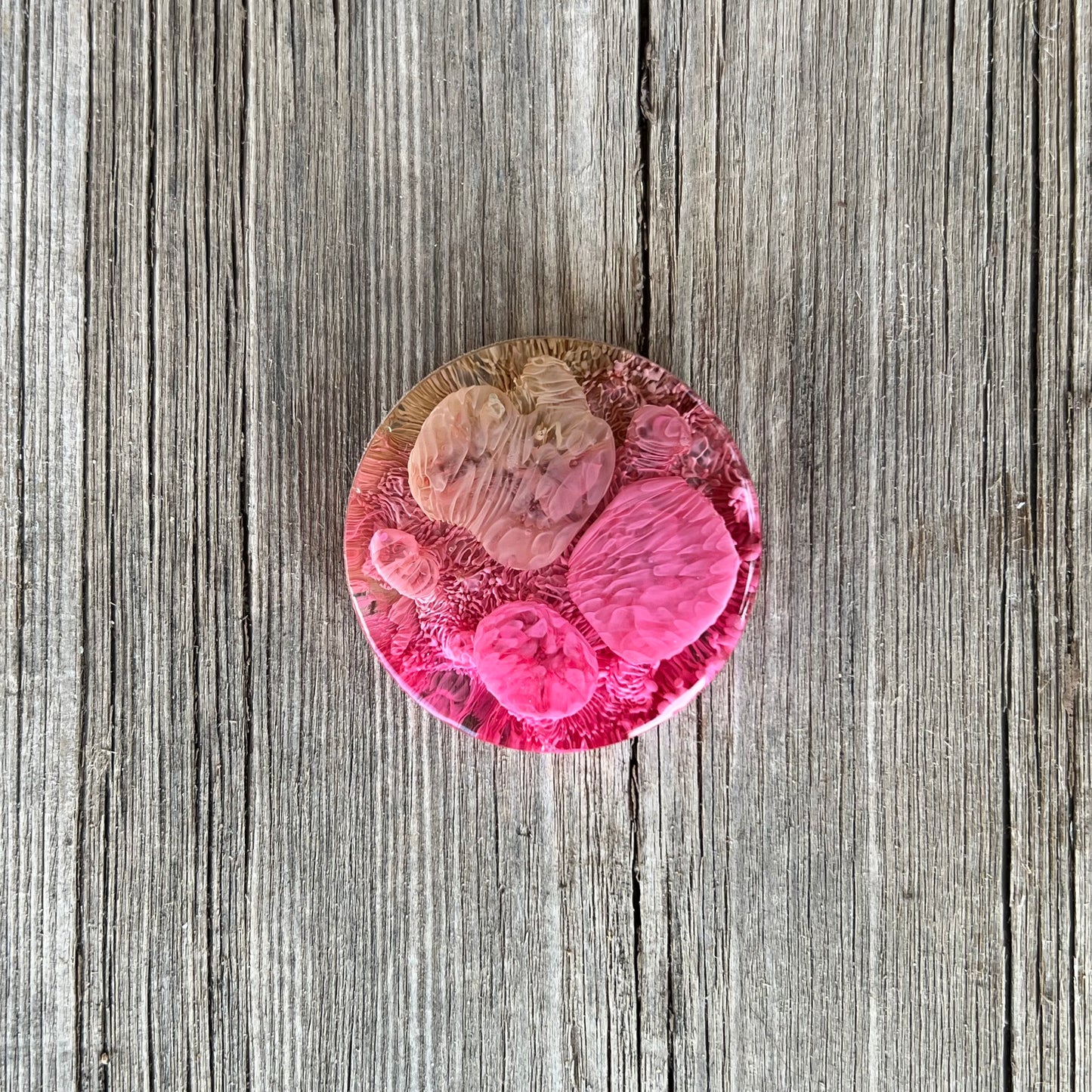 1.5” Pink and Moss Petri Resin Magnet | 3 for $12 | Petrified Clouds