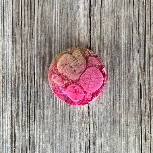 1.5” Pink and Moss Petri Resin Magnet | 3 for $12 | Petrified Clouds