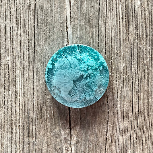 1.5” Blues Petri Resin Magnet | 3 for $12 | Petrified Clouds