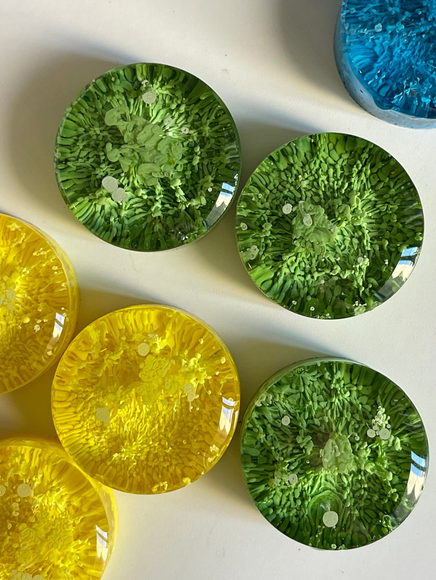 Petri Resin Magnets 1" Rainbow Set