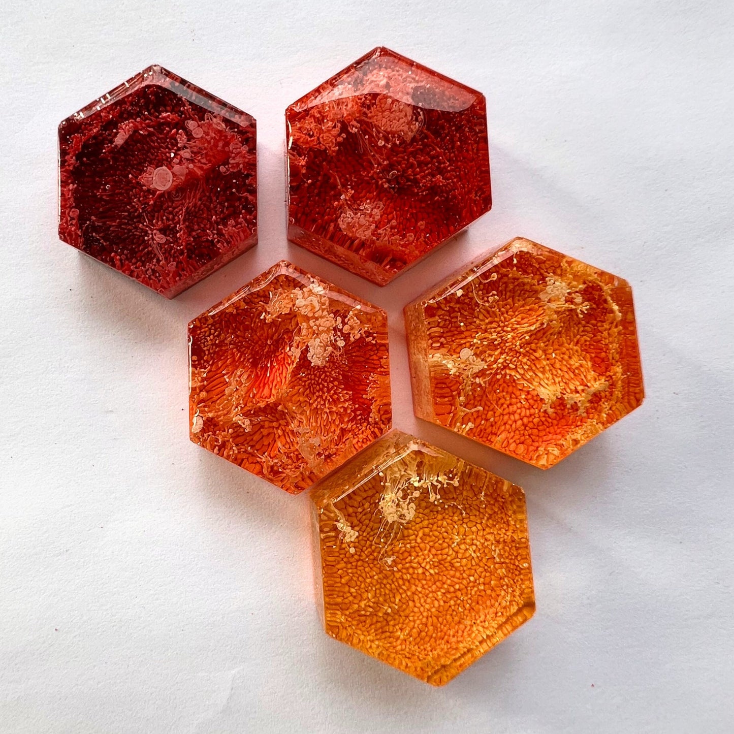 Set of 5 Hexagon Warm Tones Petri Resin Magnets 1"  | Warm Toned | Orange Refrigerator Magnets