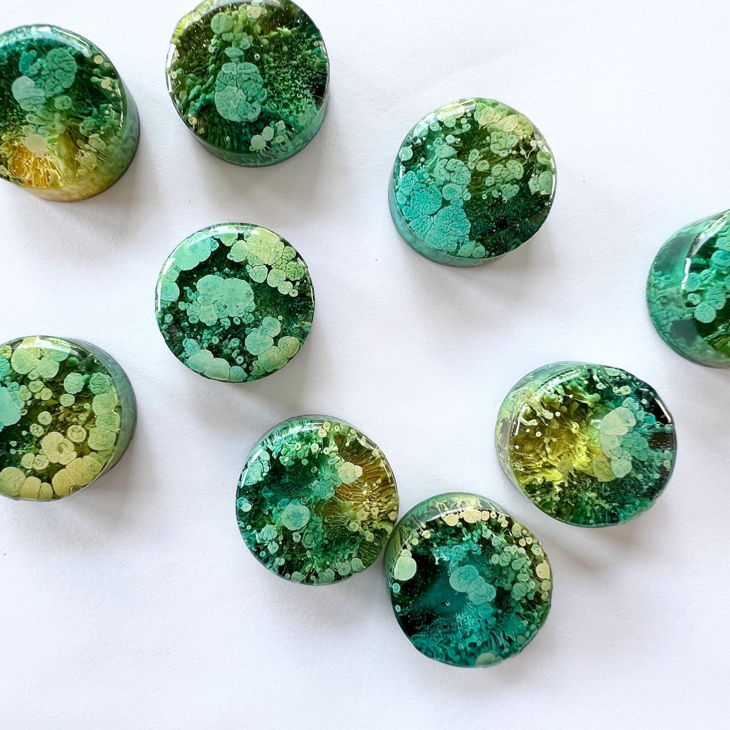 Set of 5 Round Petri Resin Magnets 1" Green and Yellow | Unique Magnet Gift