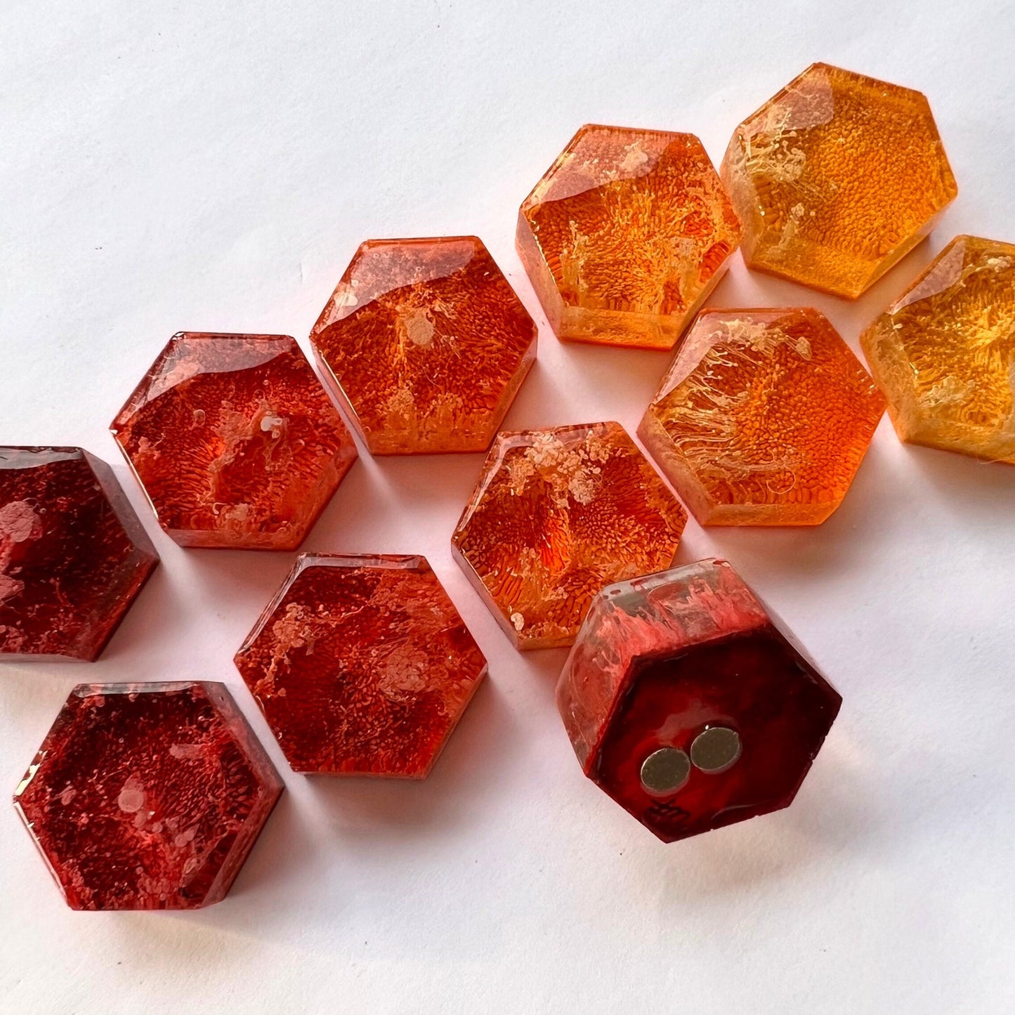 Set of 5 Hexagon Warm Tones Petri Resin Magnets 1"  | Warm Toned | Orange Refrigerator Magnets