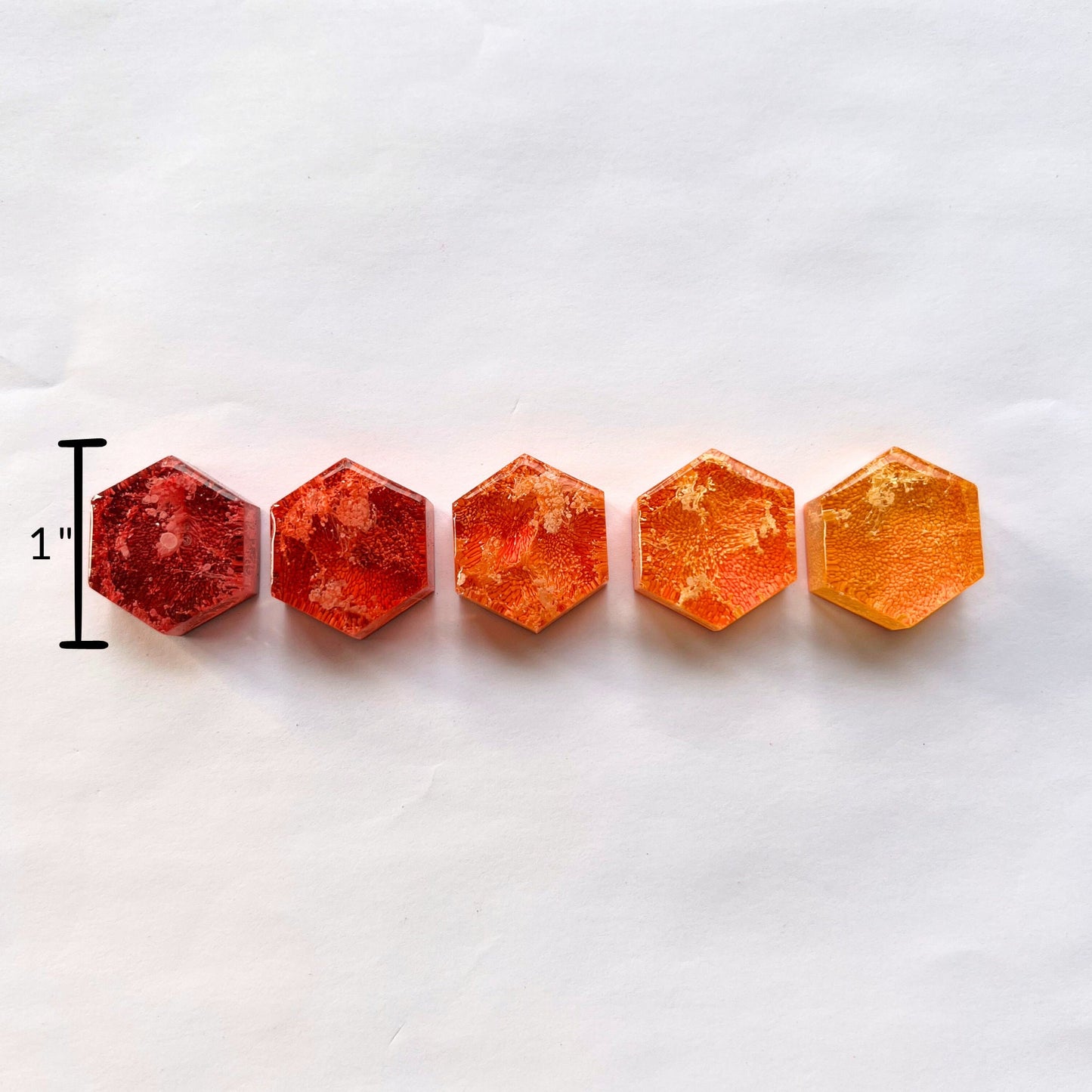 Set of 5 Hexagon Warm Tones Petri Resin Magnets 1"  | Warm Toned | Orange Refrigerator Magnets