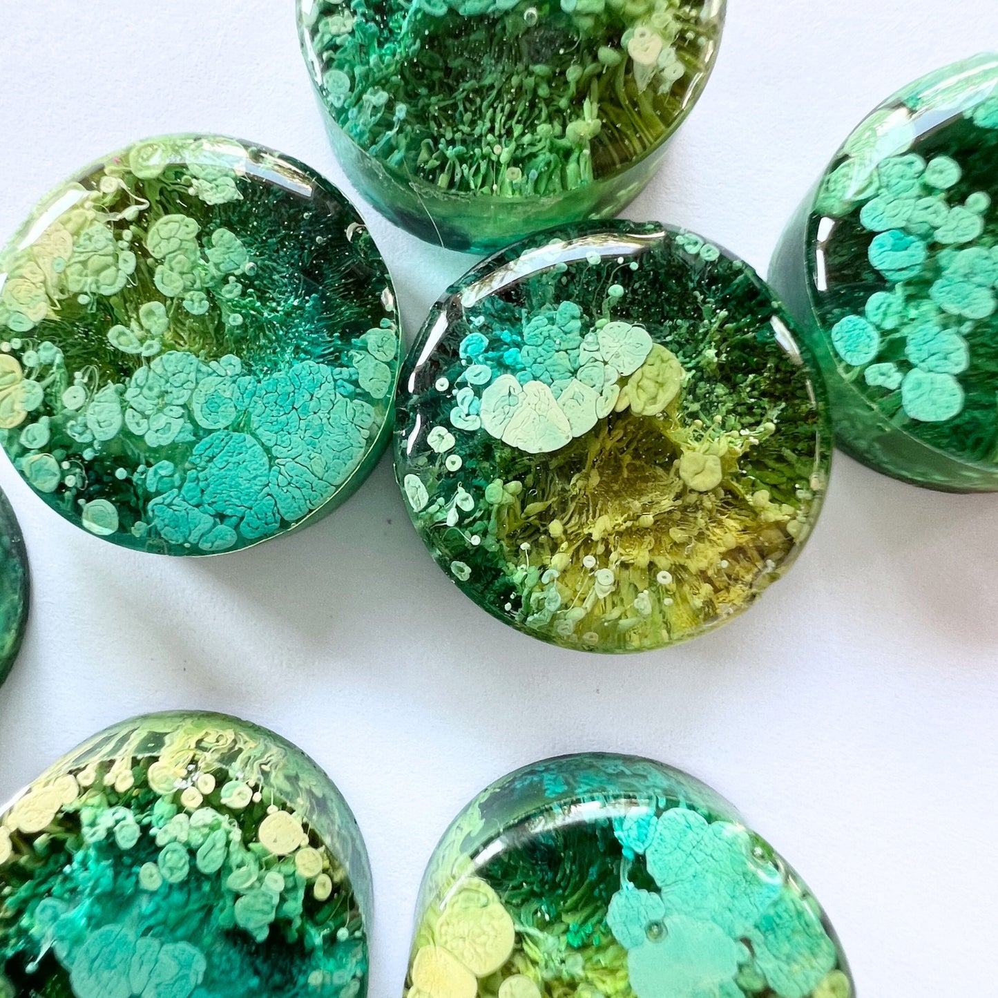 Set of 5 Round Petri Resin Magnets 1" Green and Yellow | Unique Magnet Gift